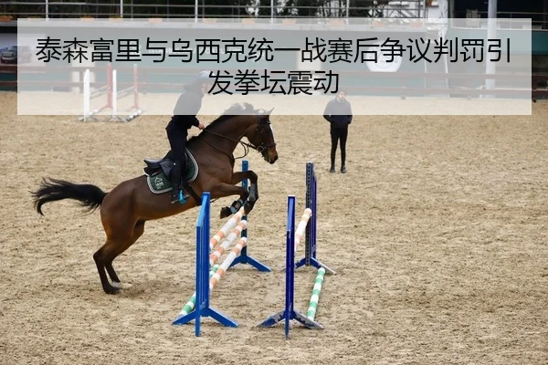 泰森富里与乌西克统一战赛后争议判罚引发拳坛震动