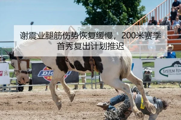 谢震业腿筋伤势恢复缓慢，200米赛季首秀复出计划推迟